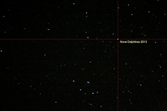 Nova Delphinus 2013